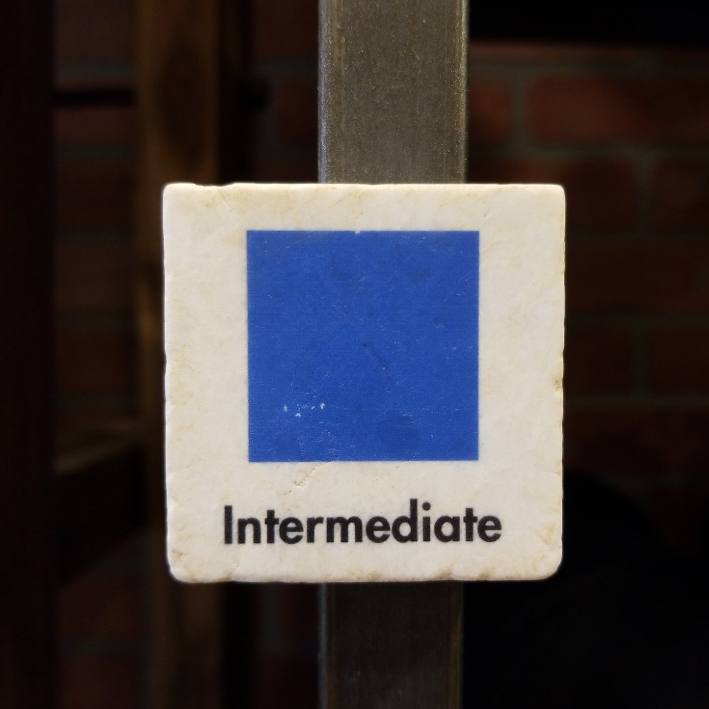 Ski Sign Magnet - INTERMEDIATE