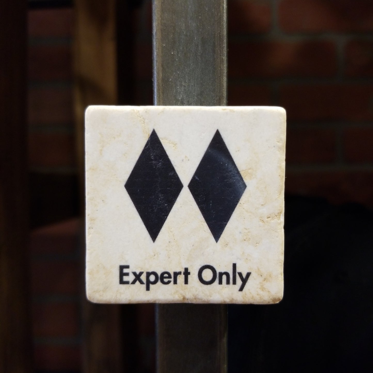 Ski Sign Magnet - EXPERT ONLY