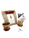 Christmas Tree Garden In A Bag