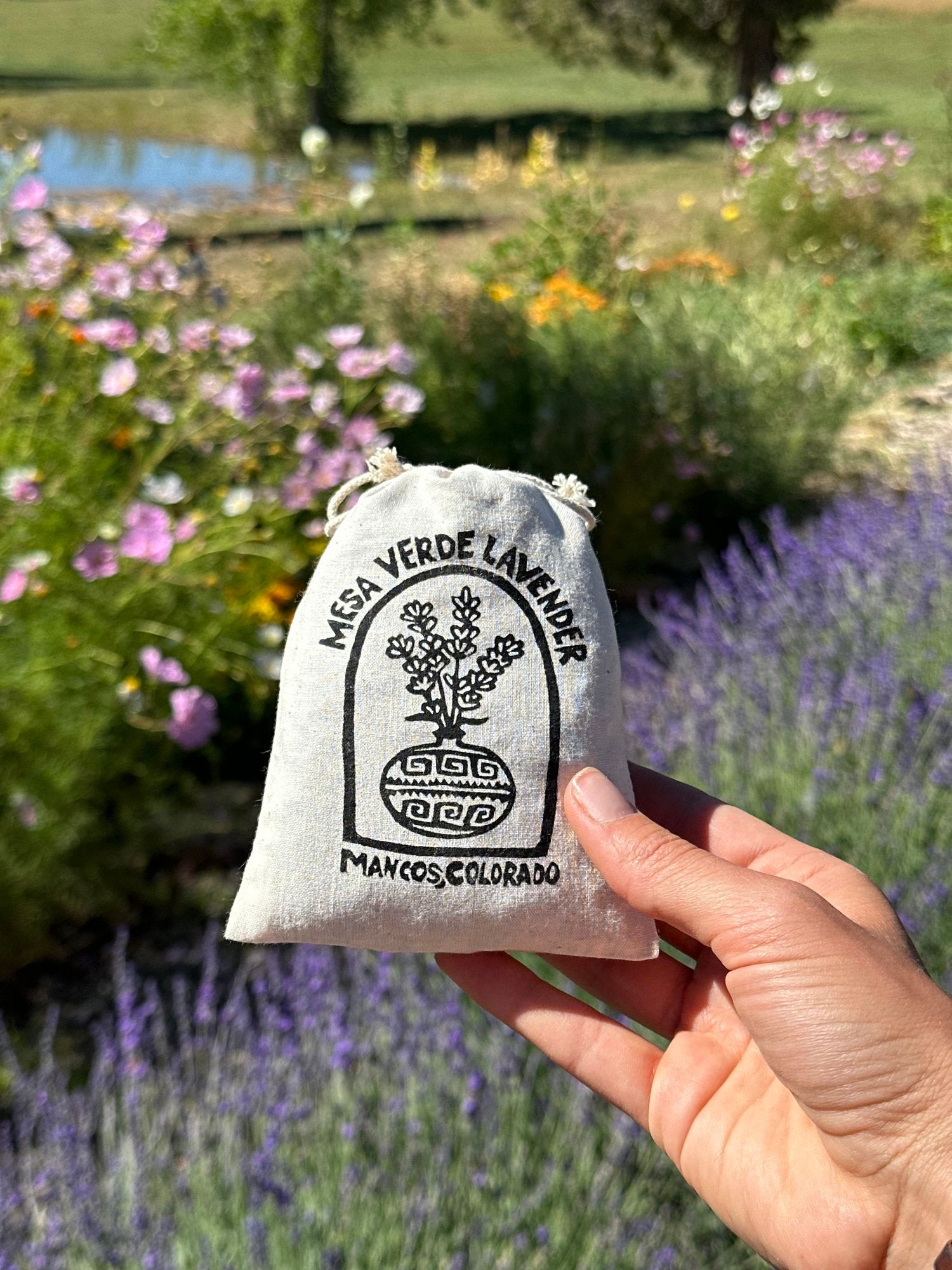 sachet lavender plant Lavender Sachet – Hook Telluride