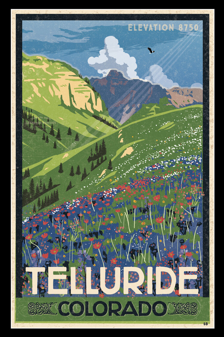 Telluride Wildflowers